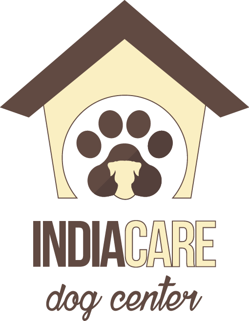 India Dogcare